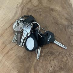 Sleutelbos, som rapportert til iLost