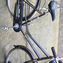 Damcykel Pointer, rapporterat av Stadswerk072 med iLost