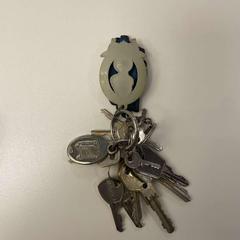 Porte-clés, a été signalé par Stad Peer utilisant iLost