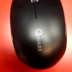 Ratolí, segons ha informat UvA REC mitjançant iLost