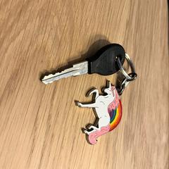 Fietssleutel met eenhoorn hanger, como reportado ao iLost