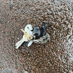 Bos sleutels, como reportado ao iLost