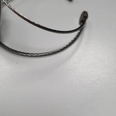 손목 시계, iLost를 사용하여 DierenPark Amersfoort에 보고됨