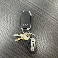 Sleutelbos, segundo informou a iLost