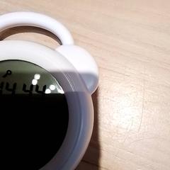 Clock Beertje, as reported by Beekse Bergen Resorts en Hotel using iLost