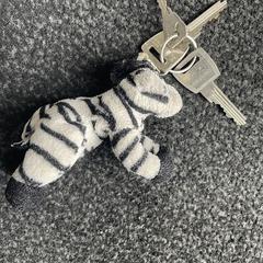 Sleutels met zebra-sleutelhanger, som rapporterats till iLost