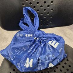 Bag Zeeman, as reported by Arriva Twents using iLost