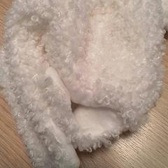 قبعة صغيرة، كما تم الإبلاغ عنه بواسطة Qbuzz Fryslân عبر iLost