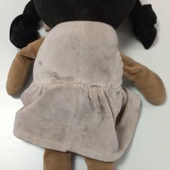 Plüss, amint azt Arriva West-Brabant az iLost segítségével jelentette.