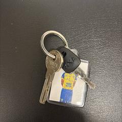 Nøkkel, som rapportert av Regio Limburg - Leuven ved bruk av iLost