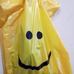 Torba, zgłoszono przez Hermes Eindhoven przy użyciu iLost