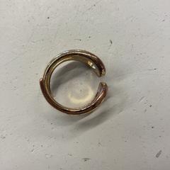 الخاتم، كما تم الإبلاغ عنه بواسطة GVB عبر iLost