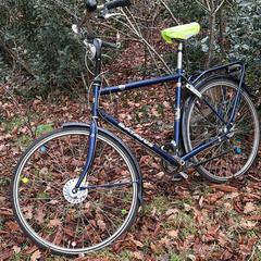 Blauwe Batavus herenfiets, iLost-i jakinarazi zaion moduan