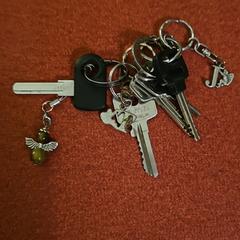 Sleutelbos, som rapporterats till iLost