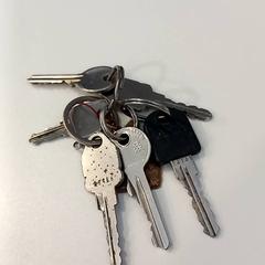 Schlüssel 6 sleutels en konijn hangertje, gemeldet von Arriva Limburg Noord über iLost