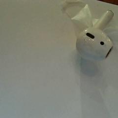 Earphones 1 oortje, as reported by Bolognalaan 101 using iLost