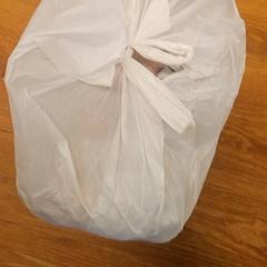 Bag, as reported by GVB using iLost