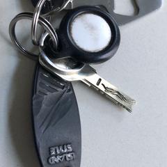 sleutelbos, iLost에 보고됨