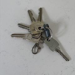sleutelbos met 5 sleutels, ako bolo nahlásené iLost