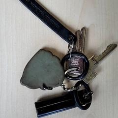 Llaves, ha sido reportado por Connexxion Haarlem IJmond con iLost