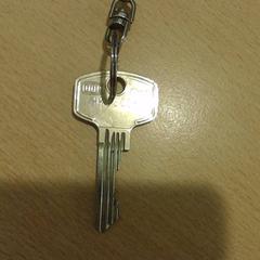 Sleutel, zoals gemeld door Walibi Holland met iLost