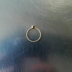 Ringa, rapporterat av Burgers' Zoo med iLost