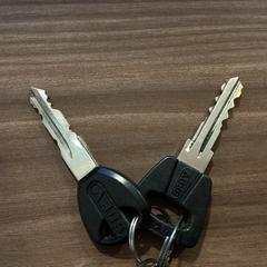 Sleutels - 160126 FRANKY, gemeldet von Ziggo Dome über iLost