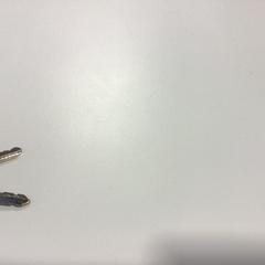 Giltzak, gisa salatu by Gemeente Veenendaal iLost erabiliz