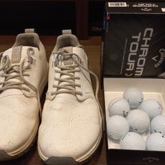 Des chaussures + golfballen, a été signalé par Van der Valk Hotel Gorinchem utilisant iLost