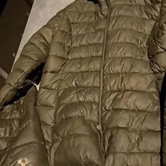 Dzseki, amint azt Paaspop az iLost segítségével jelentette.