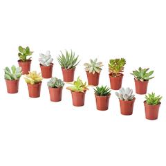 Produkt IKEA, zgłoszono przez IKEA Tokyo-Bay przy użyciu iLost