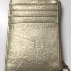 Cartera Musa-Anas, segons ha informat Gemeente Haarlem mitjançant iLost