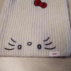 قبعة صغيرة، كما تم الإبلاغ عنه بواسطة Connexxion Haarlem IJmond عبر iLost