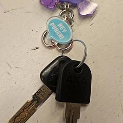 Nøkkel, som rapportert av GVB ved bruk av iLost