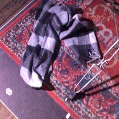 ラグ Grijs がiLostで De Heeren van Aemstel によって報告されました