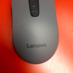 Ratolí, segons ha informat UvA REC mitjançant iLost