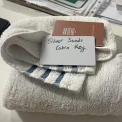 İLost kullanarak Silver Sands Beach tarafından bildirildiği gibi El havlusu