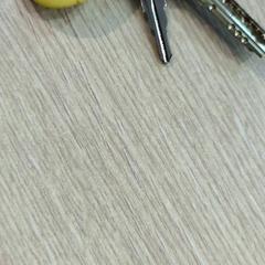 Sleutels, zoals gemeld door ilévia met iLost