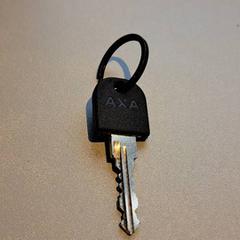 Bicycle key, as reported by Madurodam using iLost