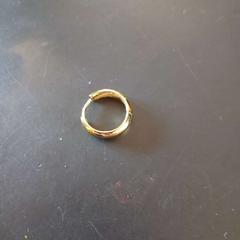 Kolczyk, zgłoszono przez Conscious Hotel Westerpark przy użyciu iLost