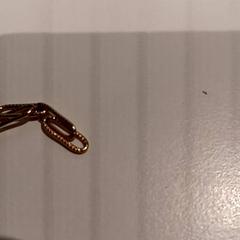 Karkötő, amint azt De Efteling az iLost segítségével jelentette.