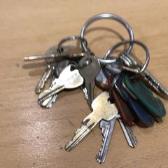 İLost kullanarak Gemeente Gooise Meren tarafından bildirildiği gibi Anahtar Grote bos