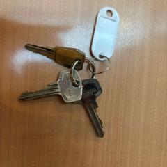 Keychain, as reported by Gemeente Zutphen using iLost
