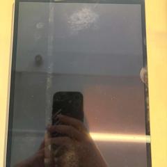 Ipad, as reported by Boat Bike Tours using iLost