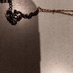 Naszyjnik, zgłoszono przez De Efteling przy użyciu iLost