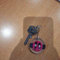 Sleutel, as reported by Politiezone Rivierenland using iLost