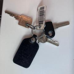 (fiets)sleutelbos an iLost gemeldet