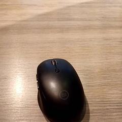 Mouse, as reported by Van der Valk Hotel Vianen using iLost