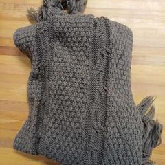 숄, iLost를 사용하여 Bolognalaan 101에 보고됨