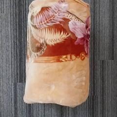 담요, iLost를 사용하여 Arriva Limburg Zuid에 보고됨